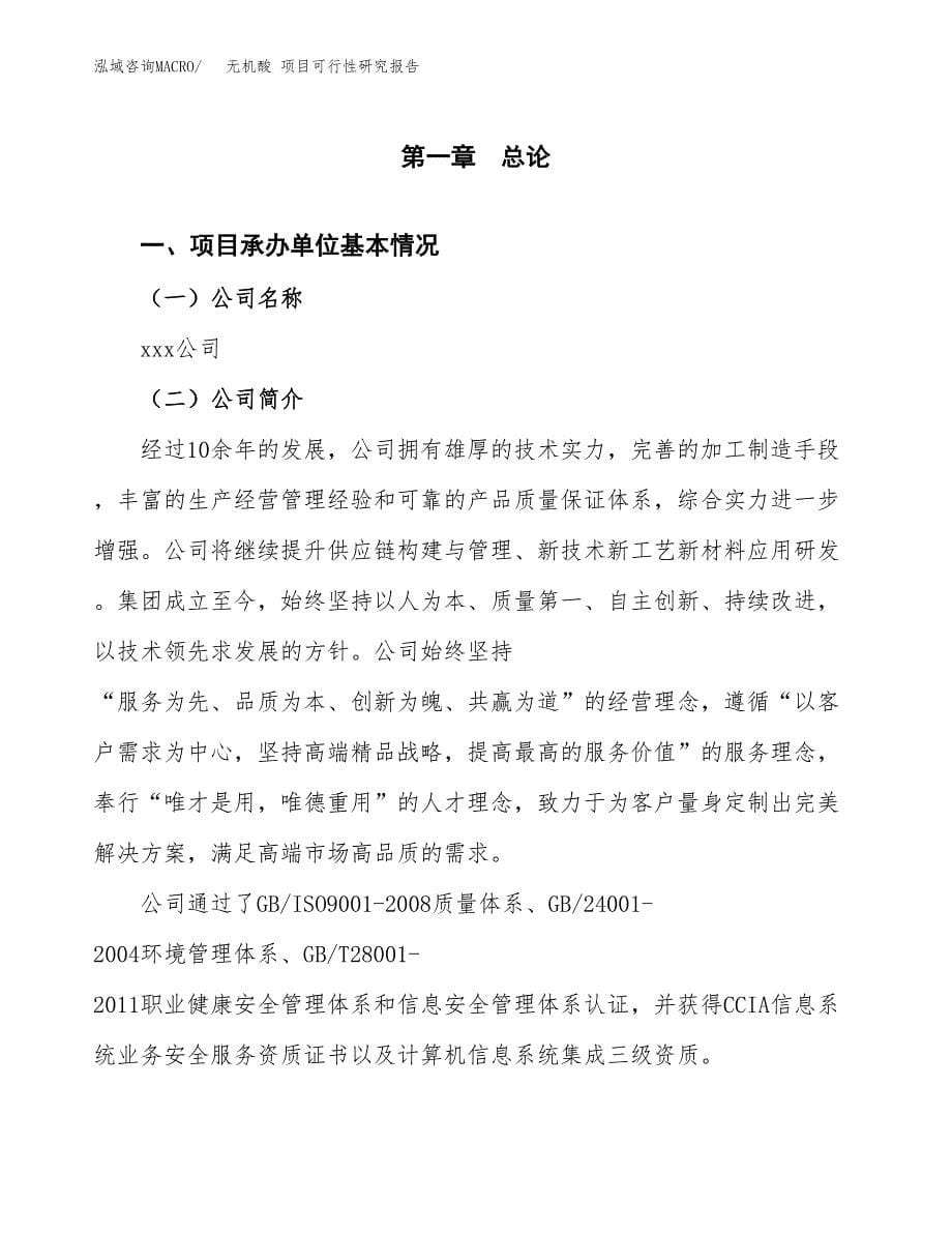 无机酸 项目可行性研究报告汇报设计.docx_第5页