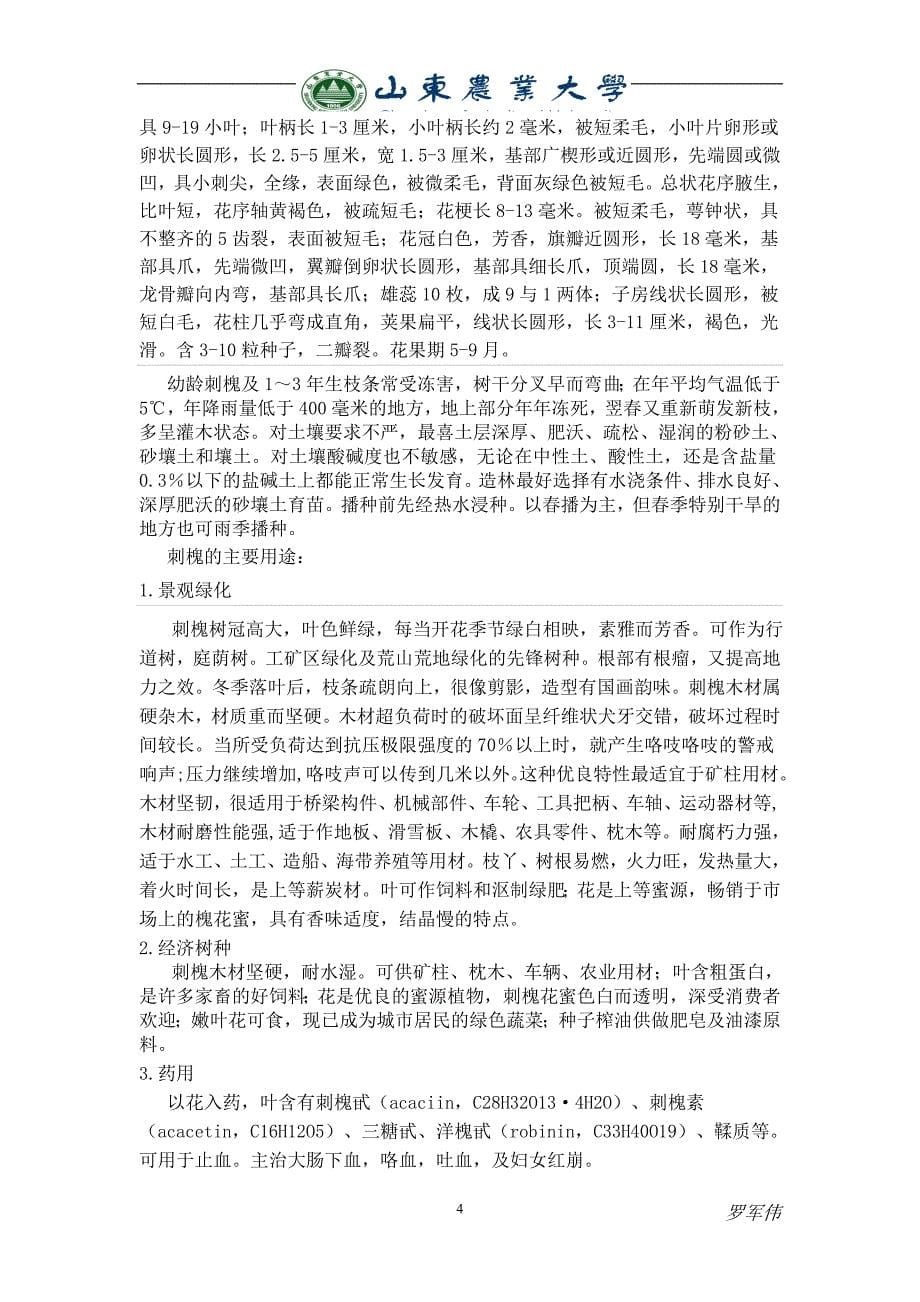 森林培育A刺槐育苗课程设计罗军伟汇编_第5页