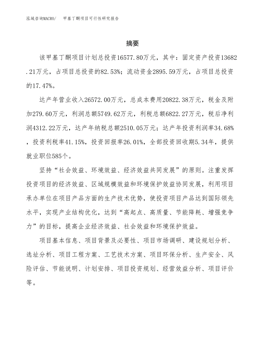 甲基丁酮项目可行性研究报告汇报设计.docx_第2页