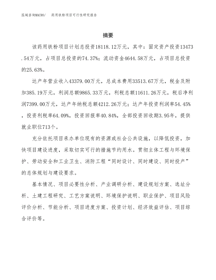 药用铁粉项目可行性研究报告汇报设计.docx_第2页