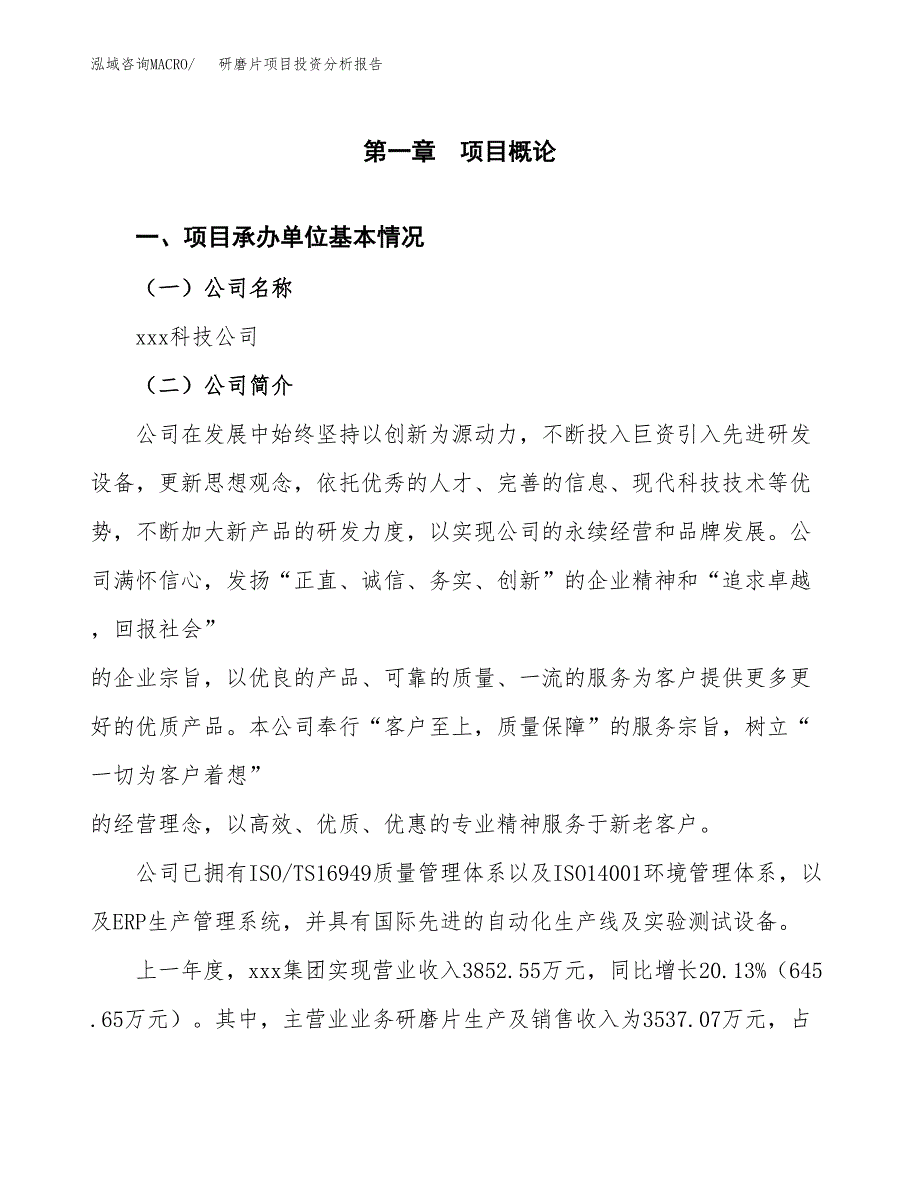 研磨片项目投资分析报告（总投资5000万元）（22亩）_第2页