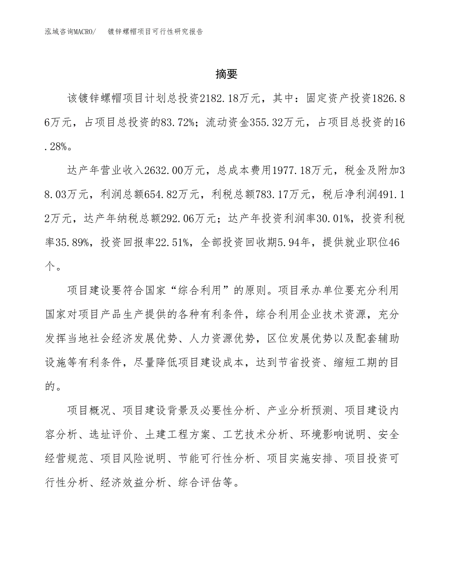 镀锌螺帽项目可行性研究报告汇报设计.docx_第2页