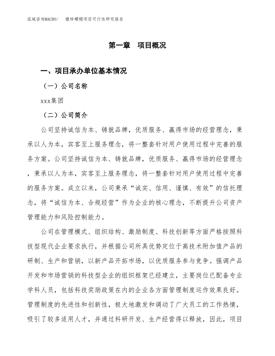 镀锌螺帽项目可行性研究报告汇报设计.docx_第4页