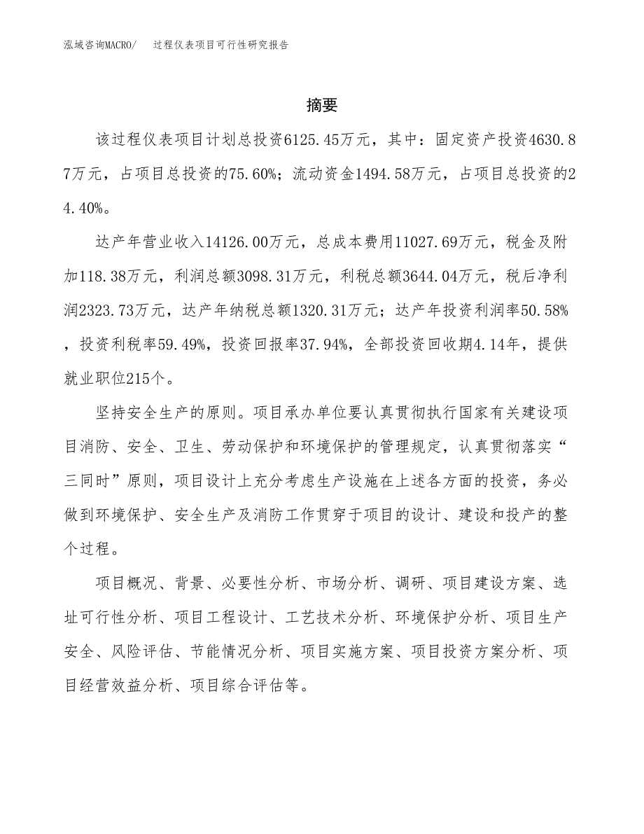 过程仪表项目可行性研究报告汇报设计.docx_第2页