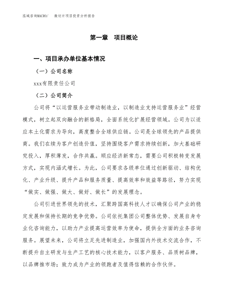 微切片项目投资分析报告（总投资13000万元）（57亩）_第2页