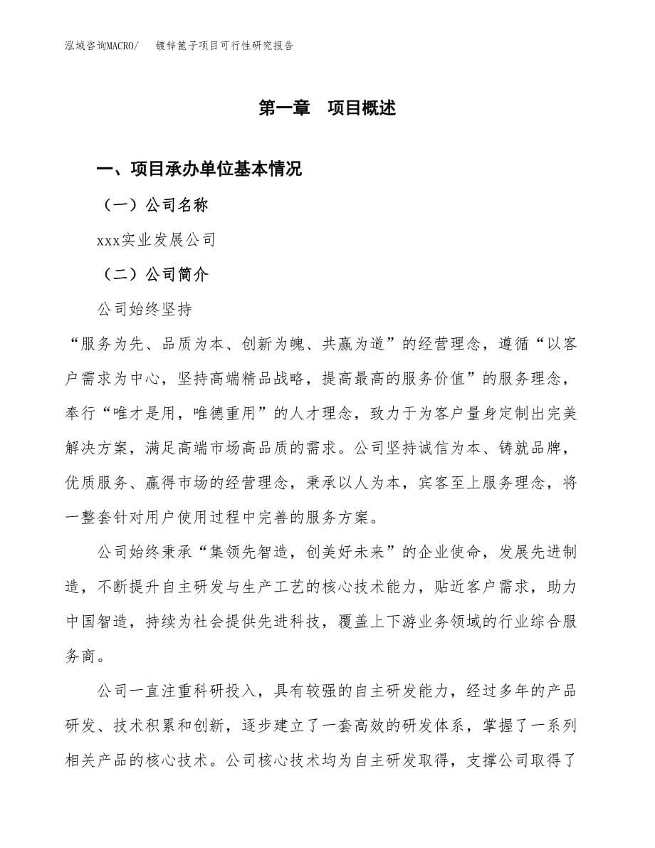 镀锌篦子项目可行性研究报告汇报设计.docx_第5页