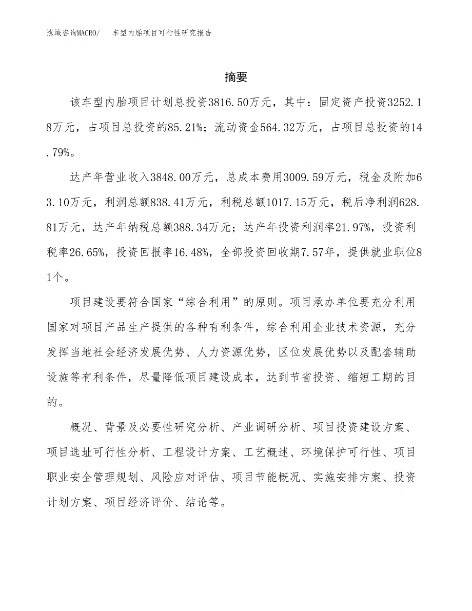 车型内胎项目可行性研究报告汇报设计.docx_第2页