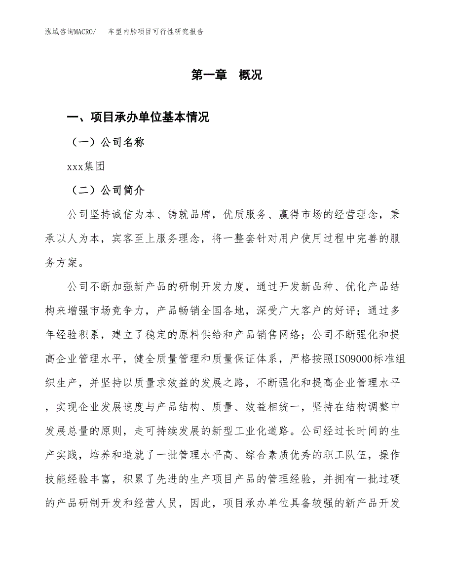 车型内胎项目可行性研究报告汇报设计.docx_第4页