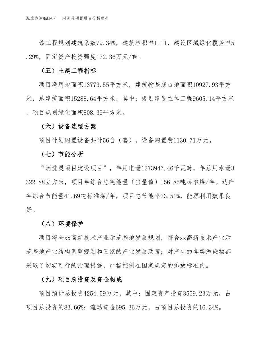 消洗灵项目投资分析报告（总投资4000万元）（21亩）_第5页