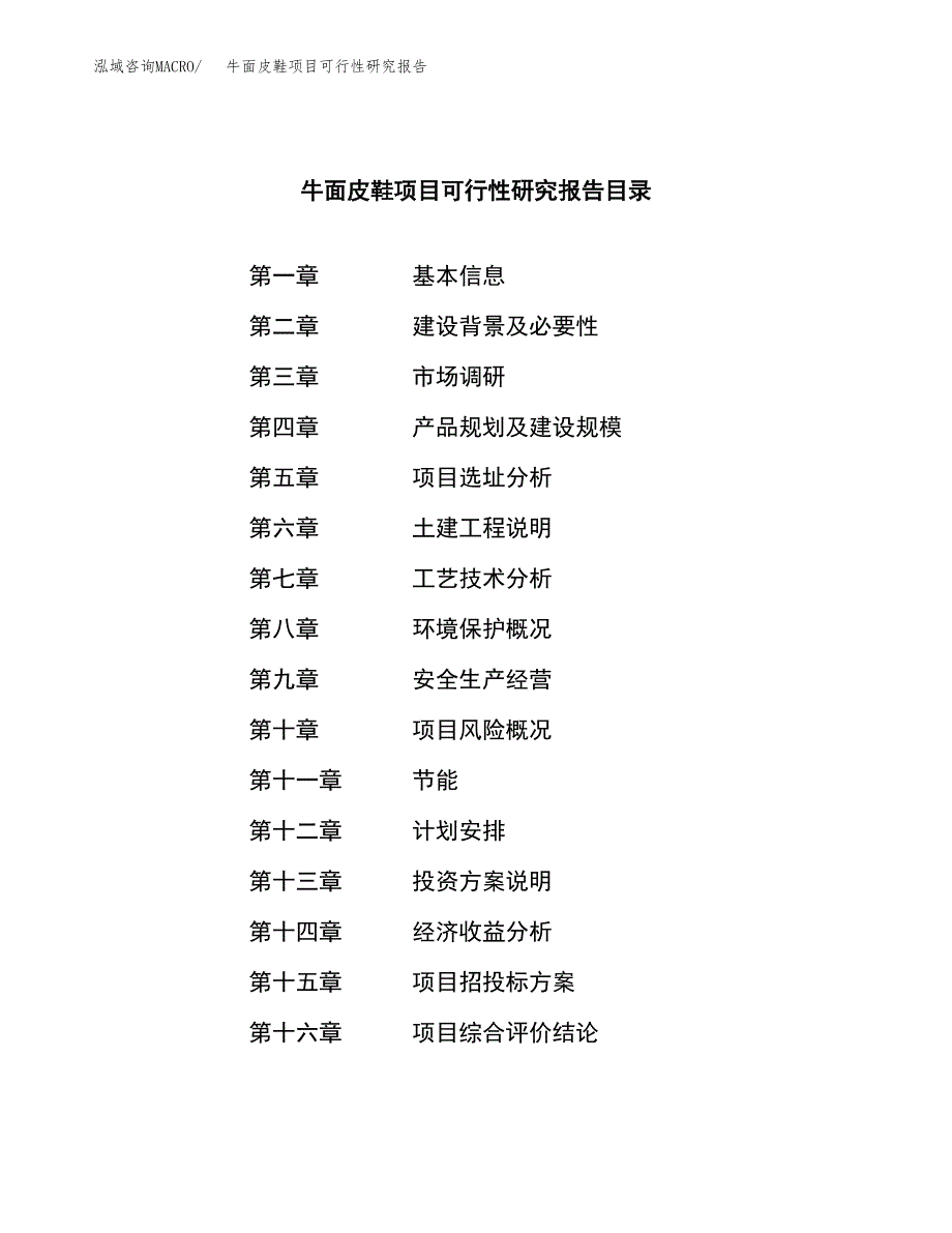 牛面皮鞋项目可行性研究报告汇报设计.docx_第3页