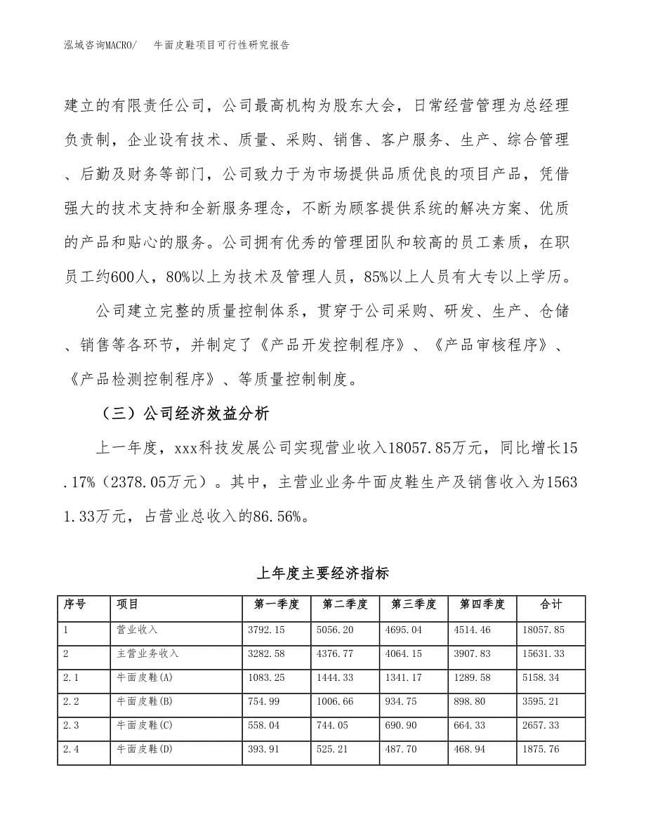 牛面皮鞋项目可行性研究报告汇报设计.docx_第5页