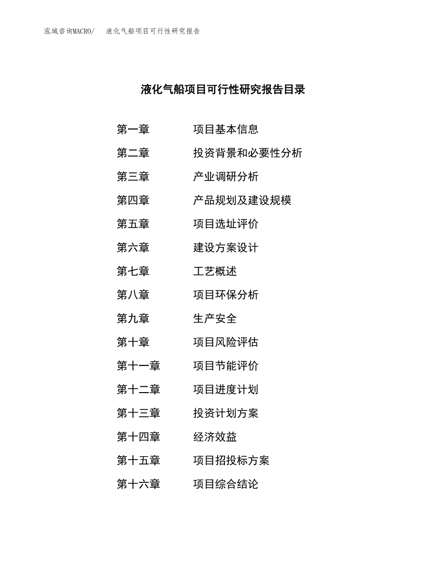 液化气船项目可行性研究报告汇报设计.docx_第3页