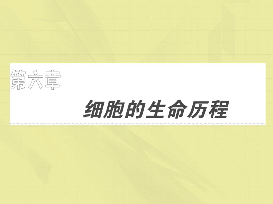 高考生物第一轮复习同步指导课件_第1页