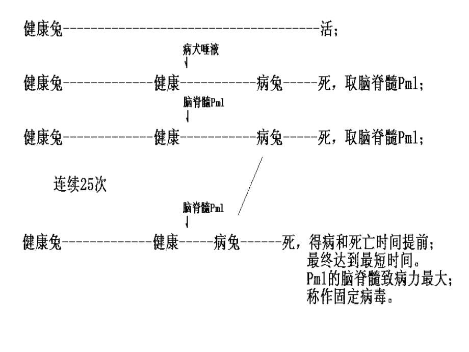 生命科学与健康：免疫的调节功能_第5页