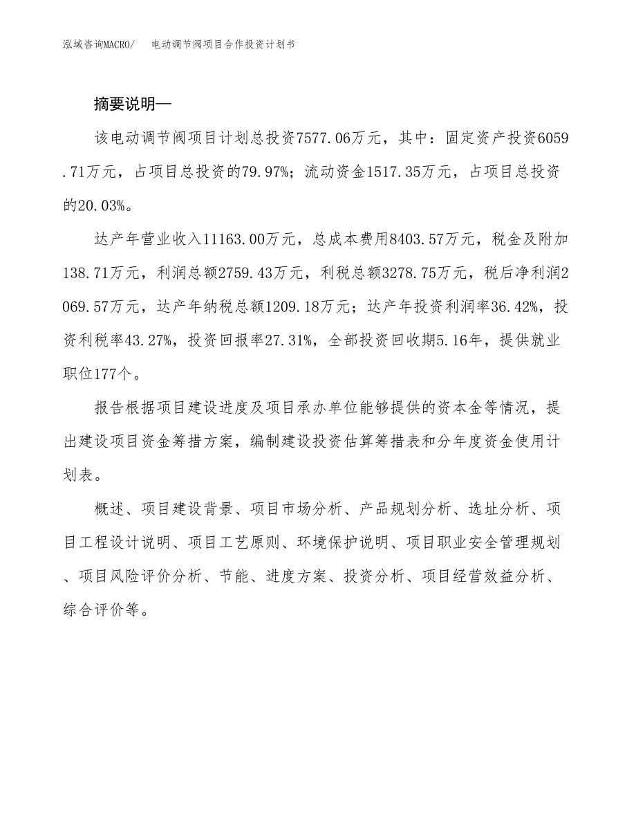 电动调节阀项目合作投资计划书.docx_第2页