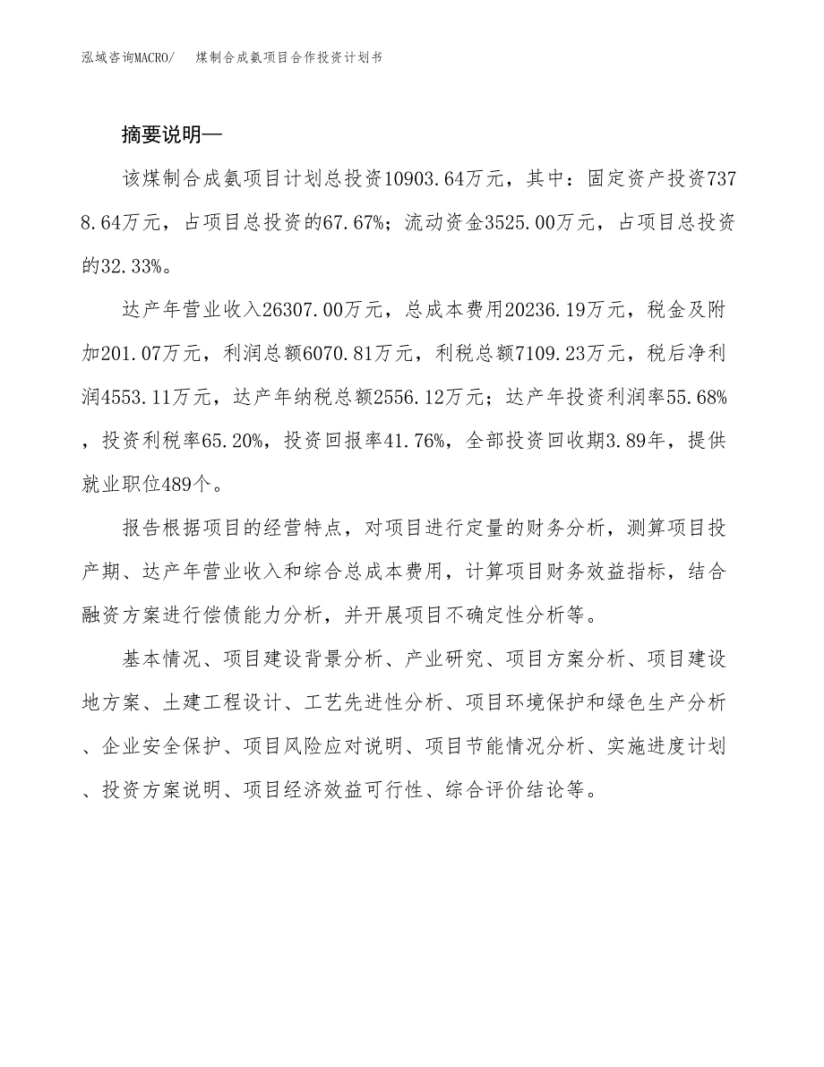 煤制合成氨项目合作投资计划书.docx_第2页