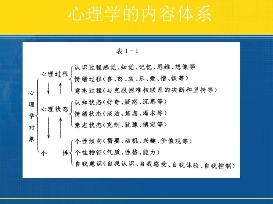 心理学课件概要_第5页