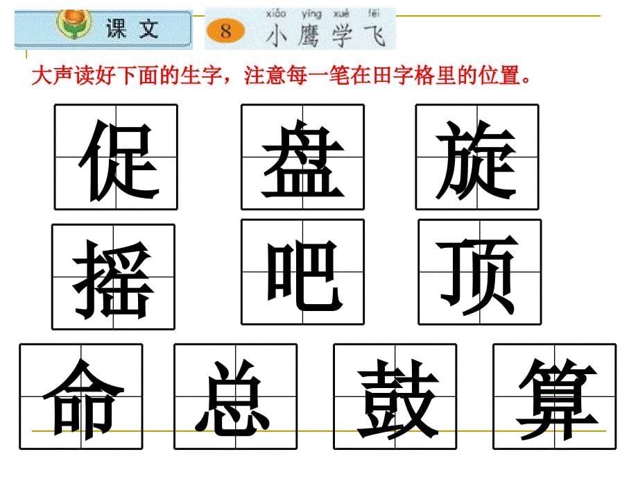 医学小鹰学飞ppt第一二课时_第5页