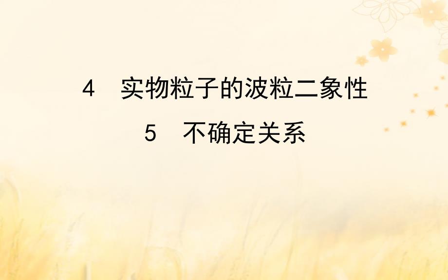 2018-2019学年高中物理 第四章 波粒二象性 4.4 实物粒子的波粒二象性 4.5 不确定关系优质教科版选修3-5_第1页