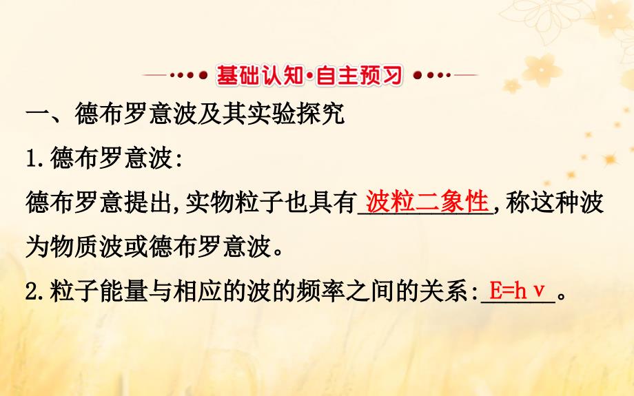 2018-2019学年高中物理 第四章 波粒二象性 4.4 实物粒子的波粒二象性 4.5 不确定关系优质教科版选修3-5_第2页