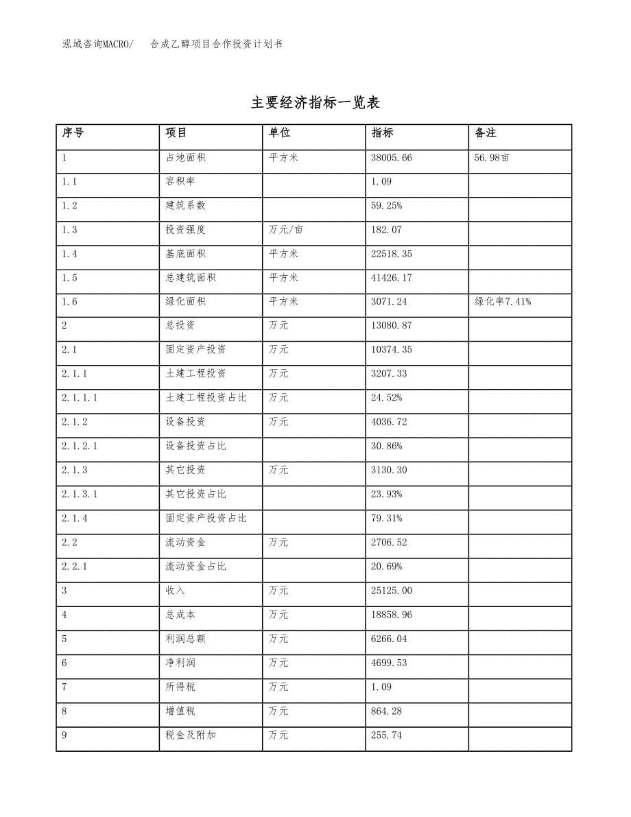 合成乙醇项目合作投资计划书（样本）.docx_第5页