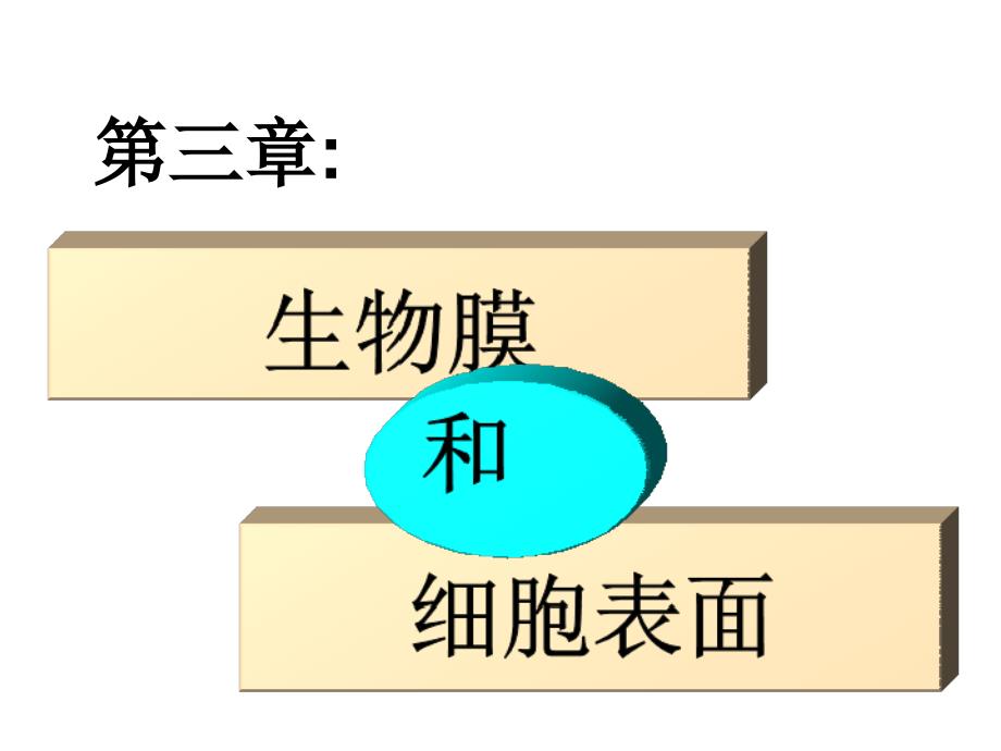 生物学中生物膜和细胞表面修改_第1页