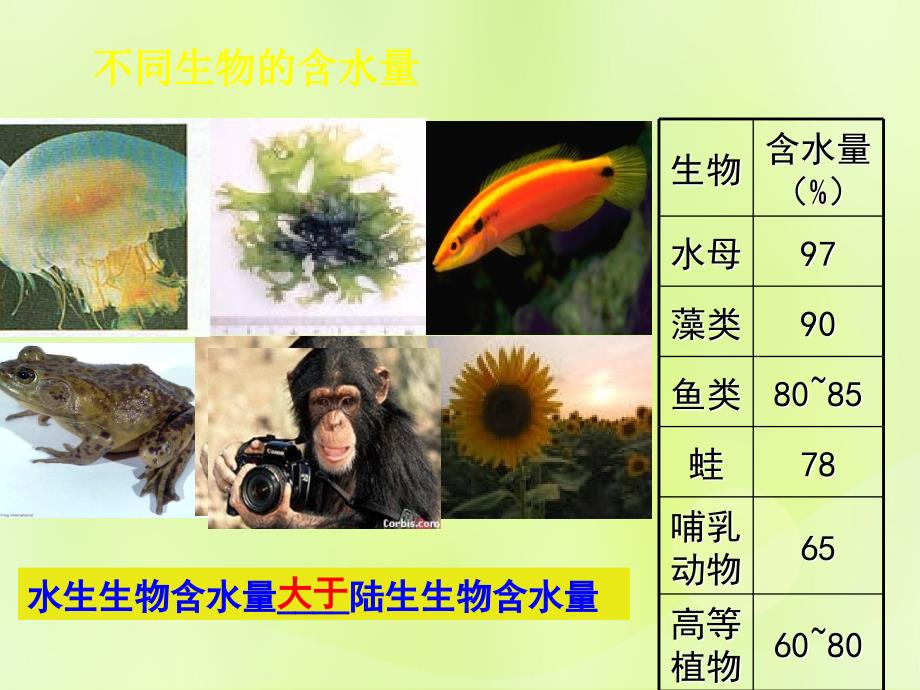 2018-2019高中生物 专题2.5 细胞中的无机物优质新人教版必修1_第2页