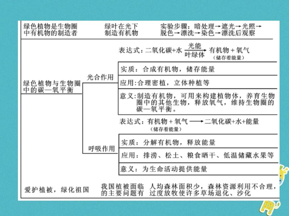 2018年七年级生物上册第3单元生物圈中的绿色植物整理与复习习题（新版）_第4页