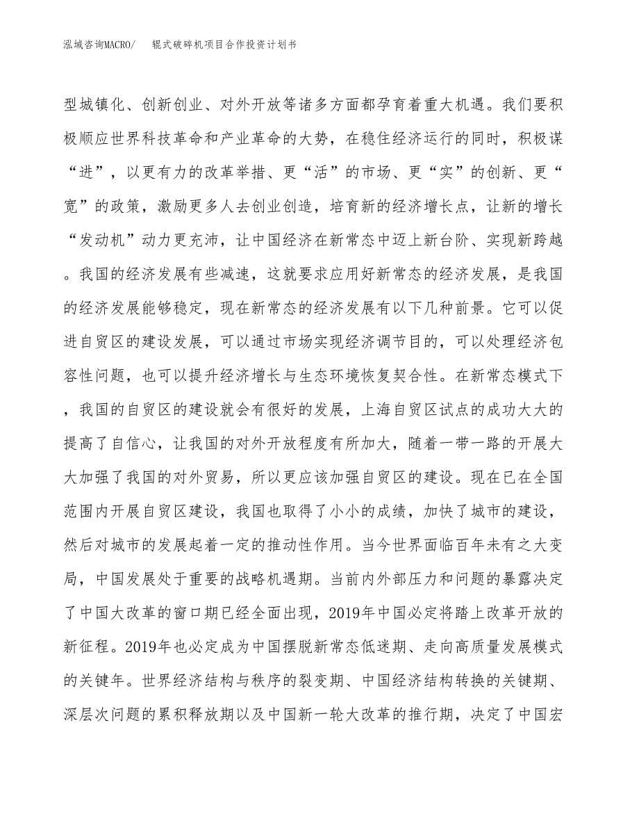 辊式破碎机项目合作投资计划书.docx_第5页