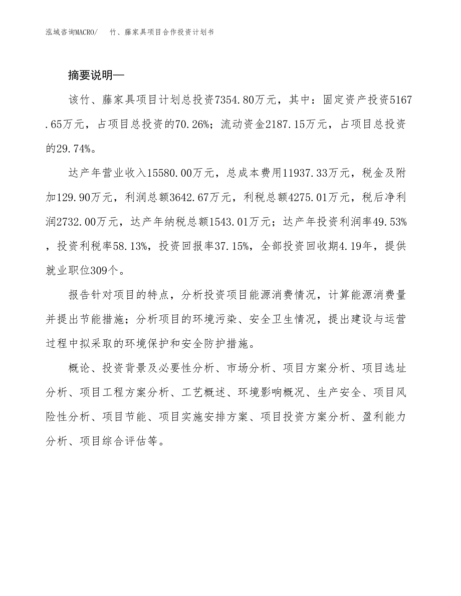 竹、藤家具项目合作投资计划书.docx_第2页