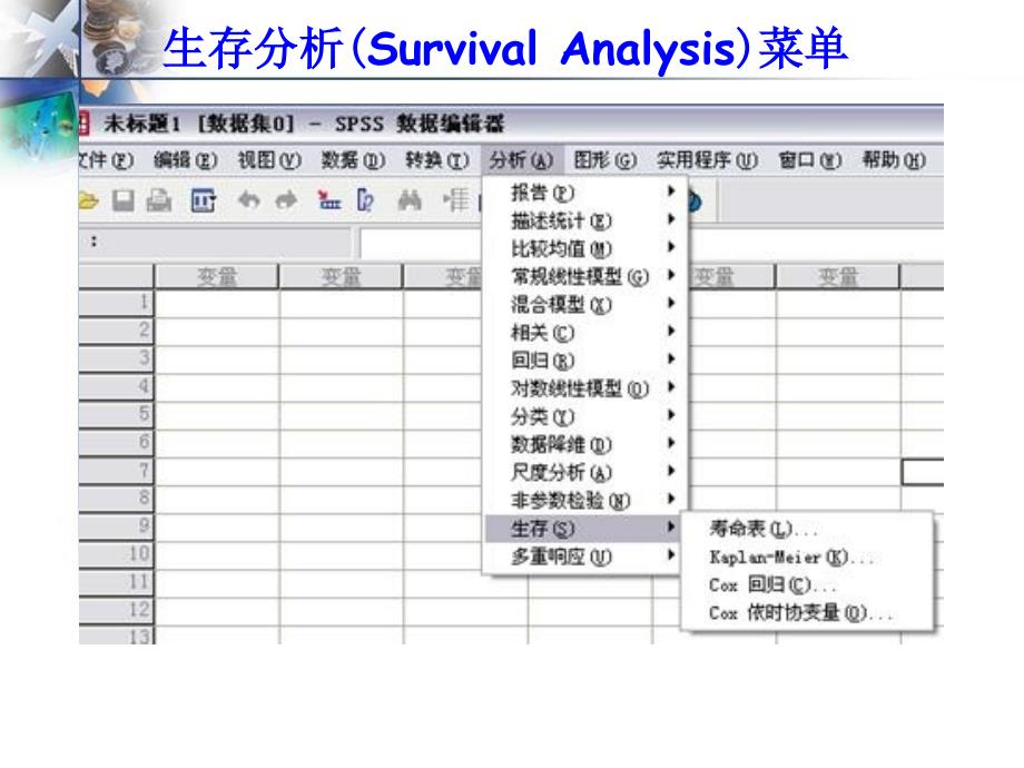 生存分析SPSS单因素和多因素对生存率的项目分析_第3页