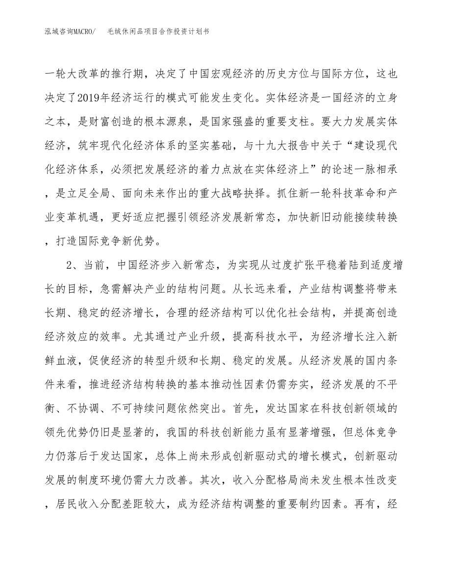 毛绒休闲品项目合作投资计划书.docx_第5页