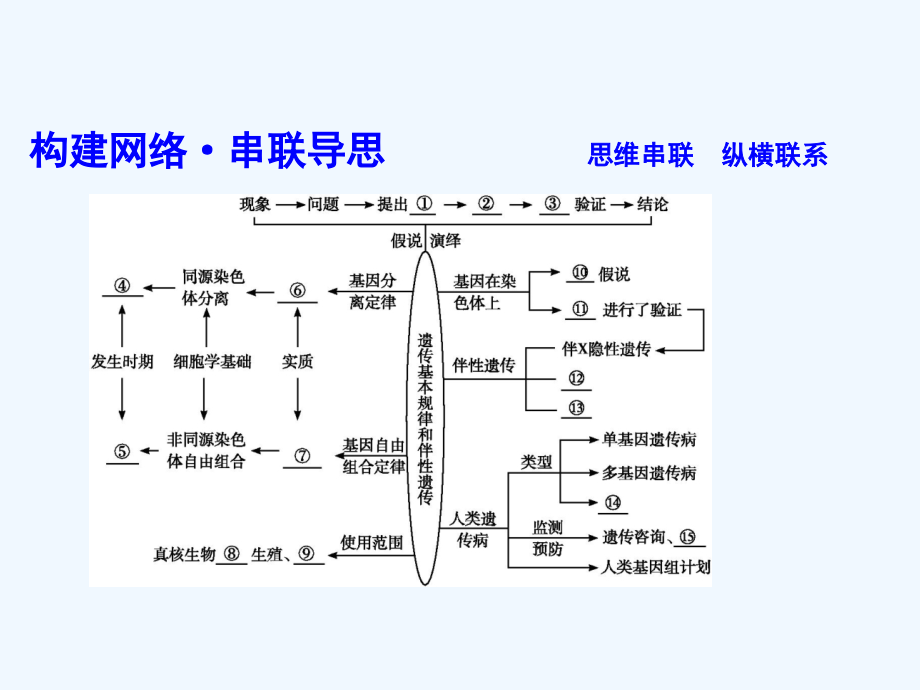 2018届高考生物二轮复习 小专题6 遗传的基本规律与人类遗传病(1)_第4页