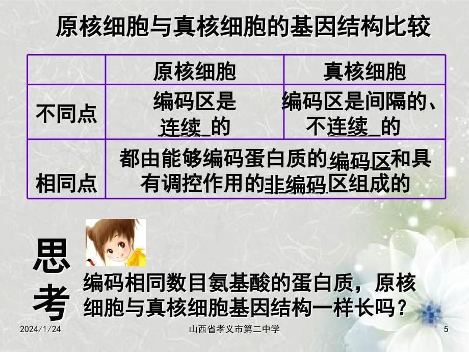 高中生物《基因工程基本实际操作程序》讲义新人教版选修_第5页