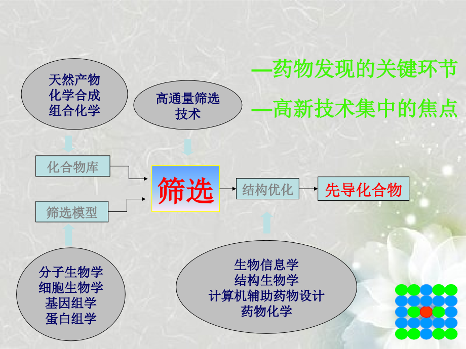 高通量药物筛选和创新药物研究_第4页