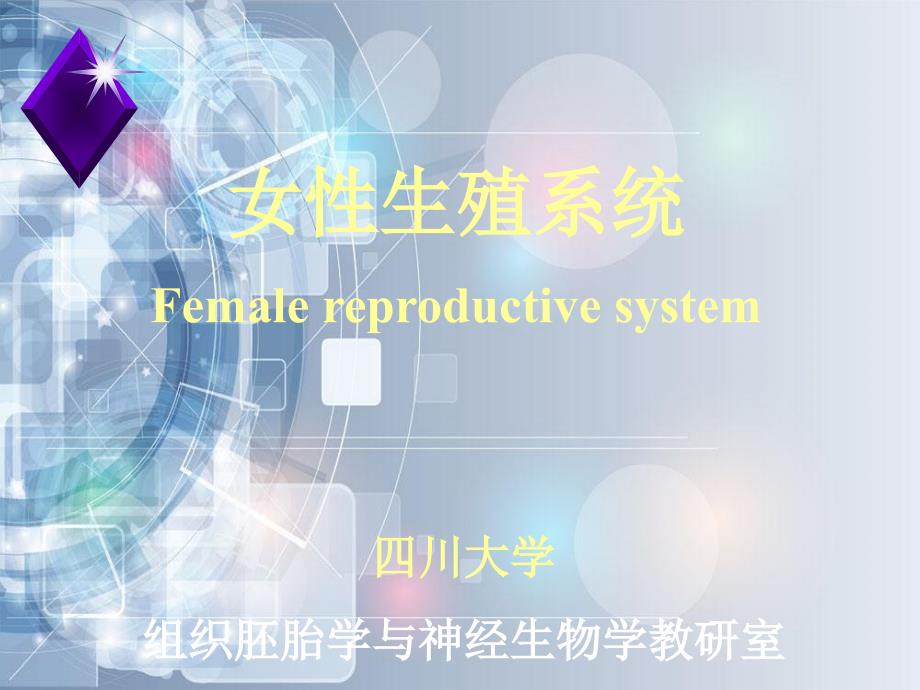 四川大学组胚讲义女性生殖系统_第1页