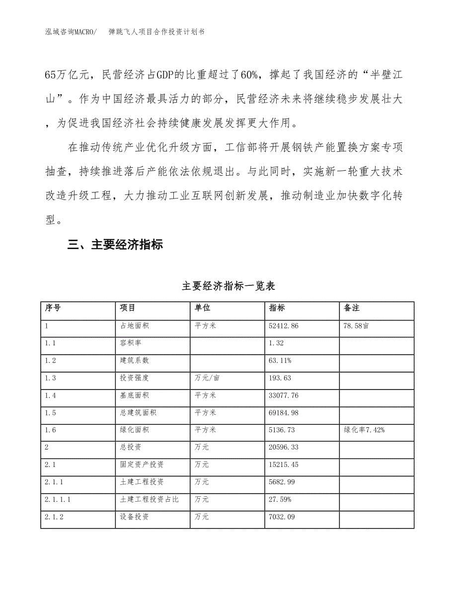 弹跳飞人项目合作投资计划书（样本）.docx_第5页