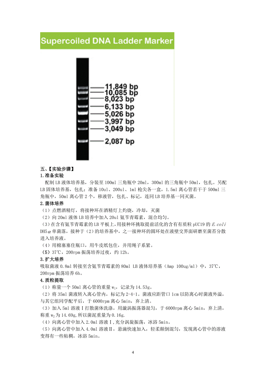 puc质粒dna的提取、纯化及检测_第4页