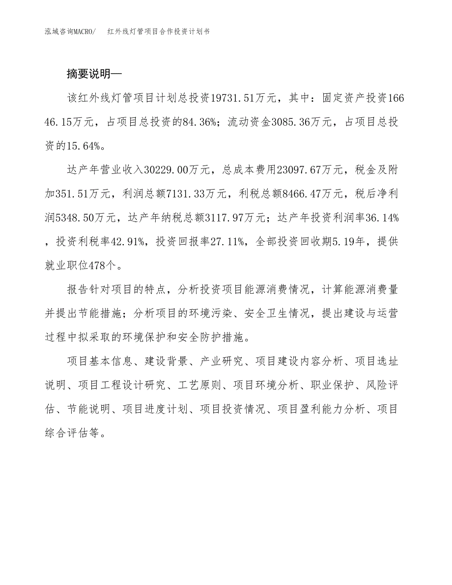 红外线灯管项目合作投资计划书.docx_第2页