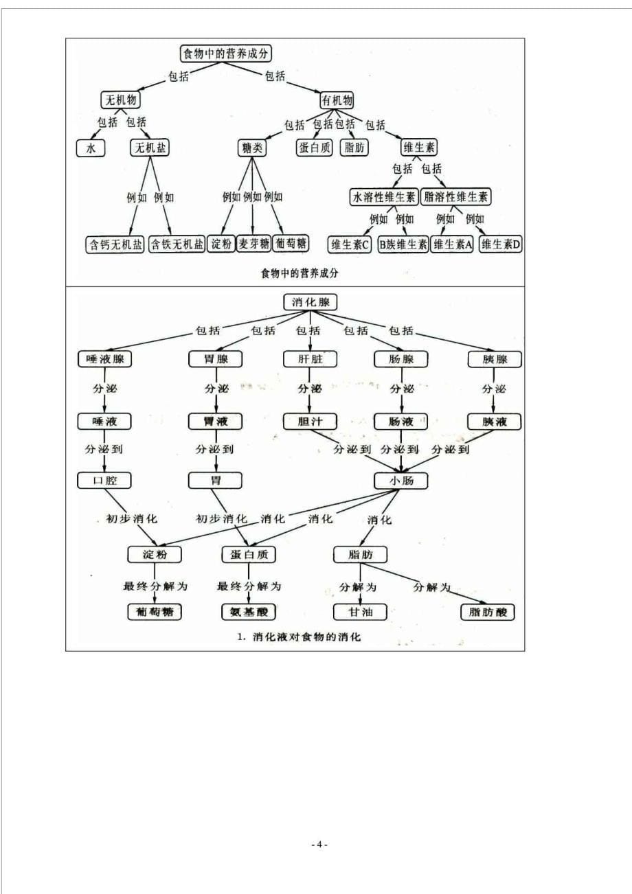 北师大版七年级生物下册复习纲要及概念图_第5页