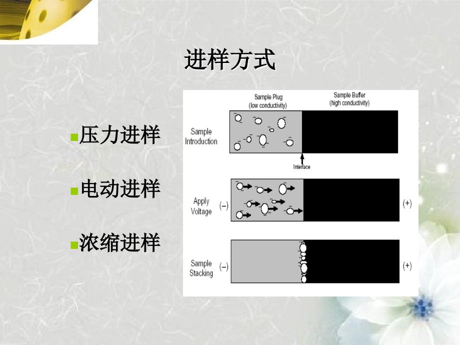 毛细管电泳原理与分析策略方案CE_第4页