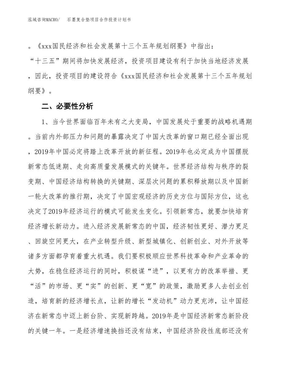 石墨复合垫项目合作投资计划书.docx_第5页