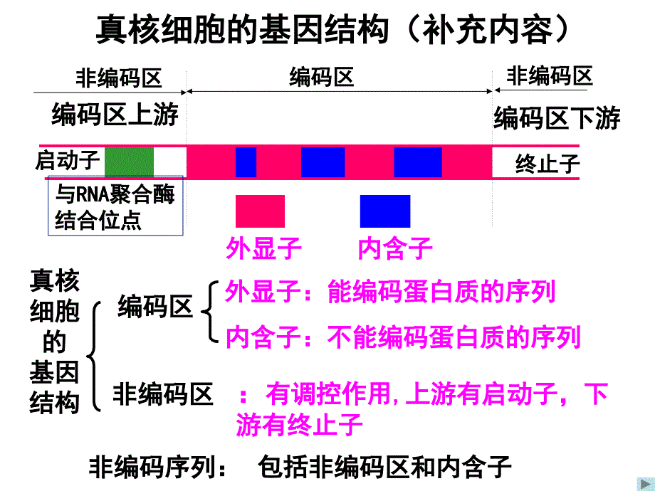 生物：《基因工程的基本操作程序》新人教版选修3_第3页