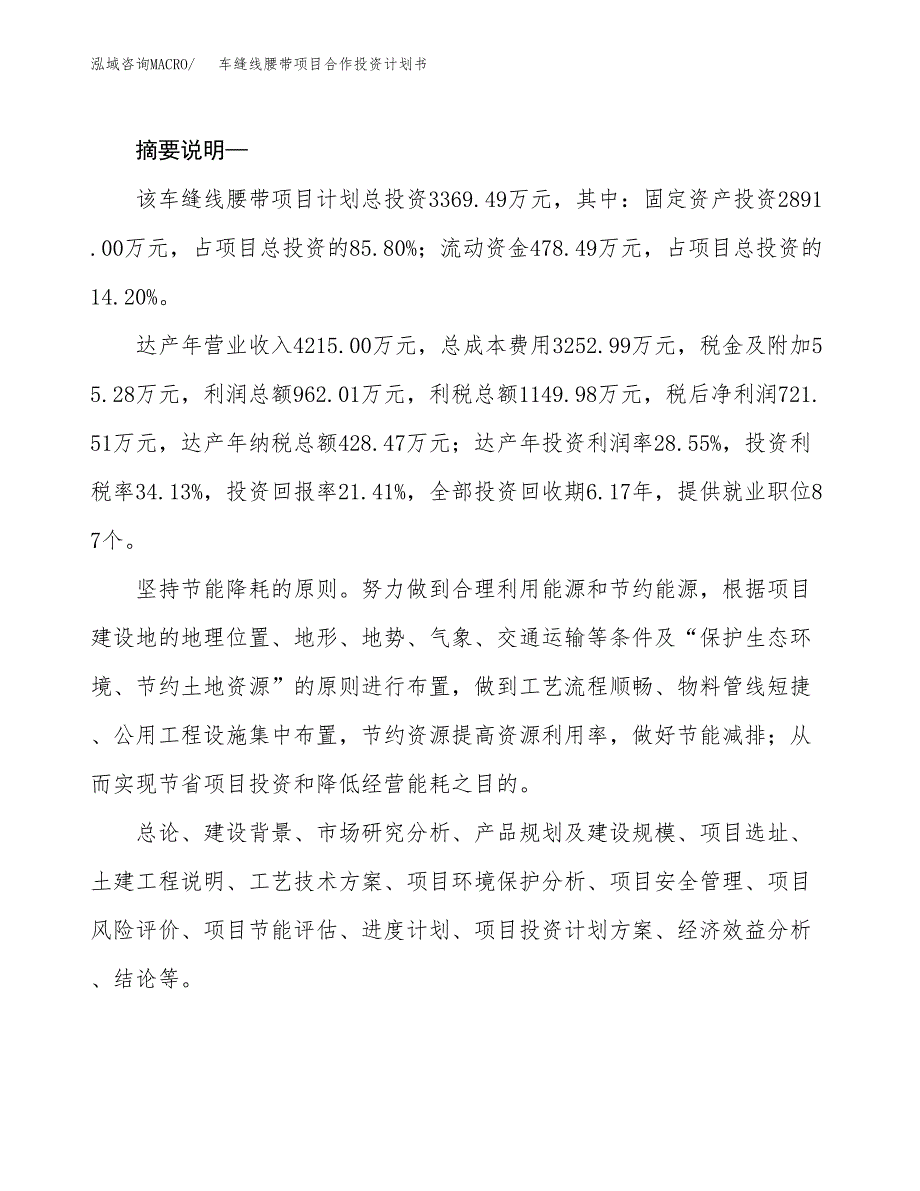 车缝线腰带项目合作投资计划书.docx_第2页