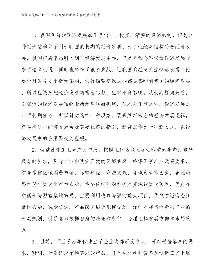 车缝线腰带项目合作投资计划书.docx_第5页