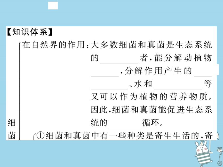 2018年八年级生物上册第五单元第四章第四节细菌和真菌在自然界中的作用习题（新版）_第2页