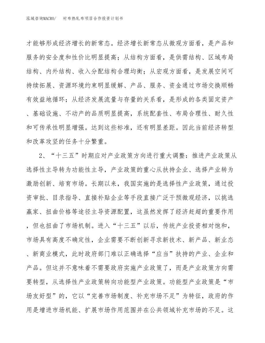 衬布热轧布项目合作投资计划书.docx_第5页