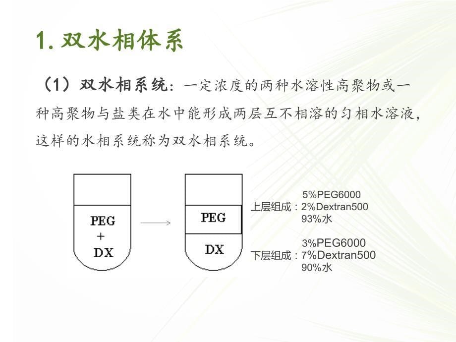 双水相萃取概要_第5页