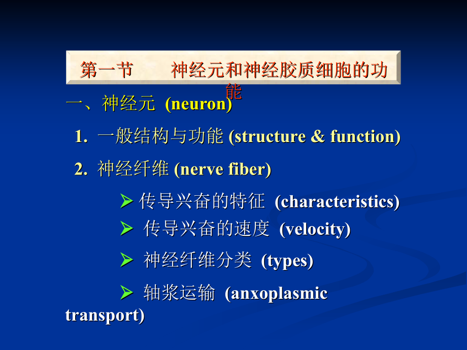 神经系统的系统功能_第2页