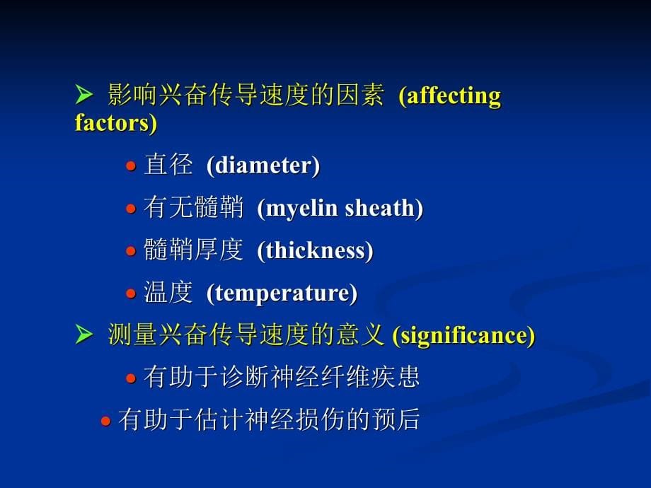 神经系统的系统功能_第5页